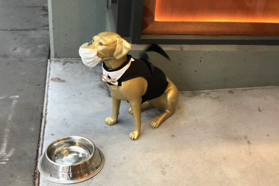 dog statue in a mask, seattle